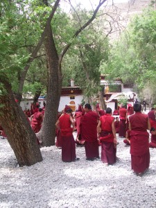 tibet-monks