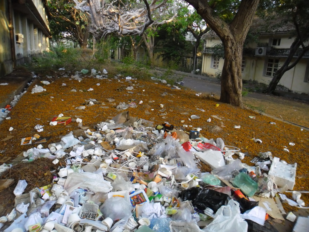Garbage & flower on a road side. Image credit: Surya Prakash.S.A.