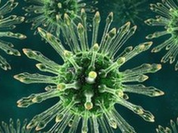 70072856_c0121955-hiv_particles_artwork-spl-600x450
