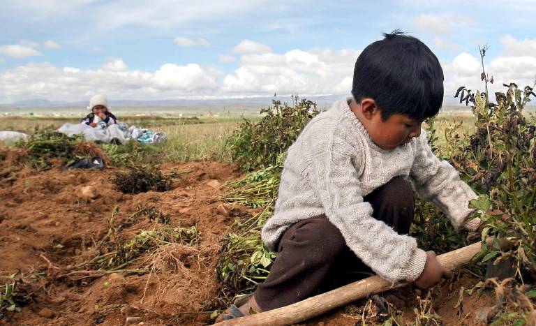 The International Labour Organization investigates a new law in Bolivia that allows children as young as 10 to work [Picture: AFP PHOTO / ALI BURAFI]