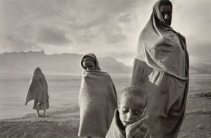 salgado_covers
