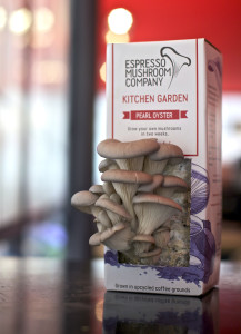 The 'Kitchen Garden' with Pearl Oyster Mushrooms