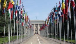 International Political Forum