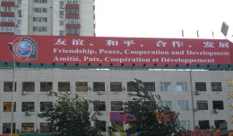 International Political Forum