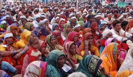 International Political Forum